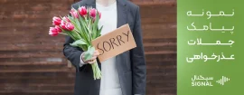 نمونه پیامک و جملات در مورد عذرخواهی